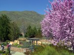 A patio in Red Butte Garden.